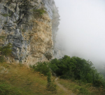 20080826-016 Dans la brume.JPG